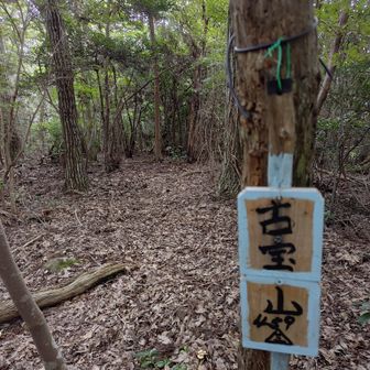 古宝山のピークもゲット。
藪だらけの急登ばかりで、とてもじゃないけどおすすめ出来ません。展望もほとんど無いし。
