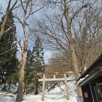 今日はサワグルミ登山口から
BONJU 山歩
お邪魔いたします。
Let's go👣
