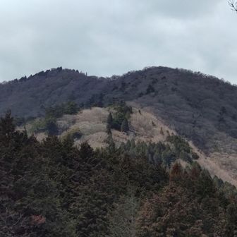 あんな所にいたのか…