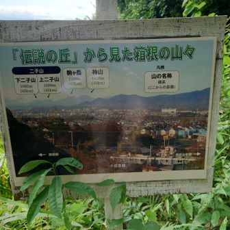 えっ！箱根の山見えるの？