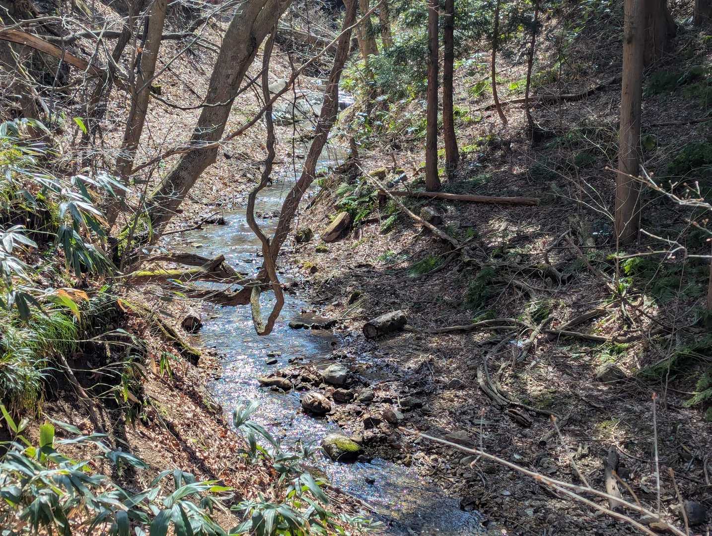 沢の音が聞こえてくると同時に温泉の香り♨