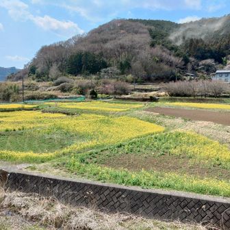 今日もありがとう😻