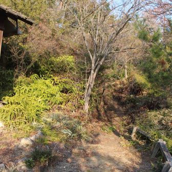 この後はひたすらに車道歩き🚶🏻が続きます
