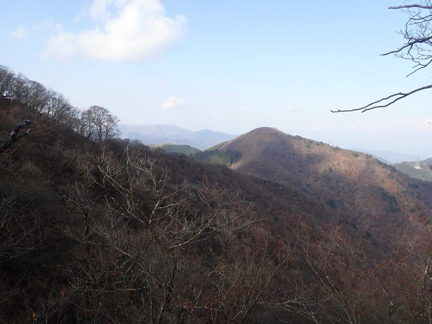 鞍掛トンネル東登山口-鞍掛峠-焼尾山 往復コースの写真