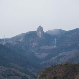 鍬柄岳、登る感じがしないけど登山道があるんだ