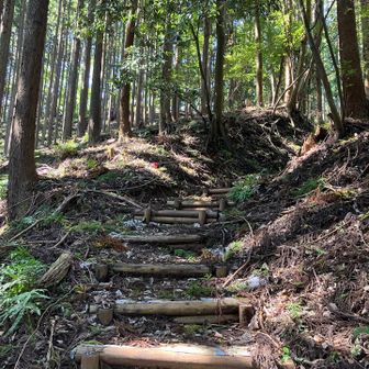 フェンスの先からやっと山道の趣