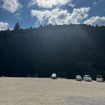 🅿️広い。20台ほど止まってた。