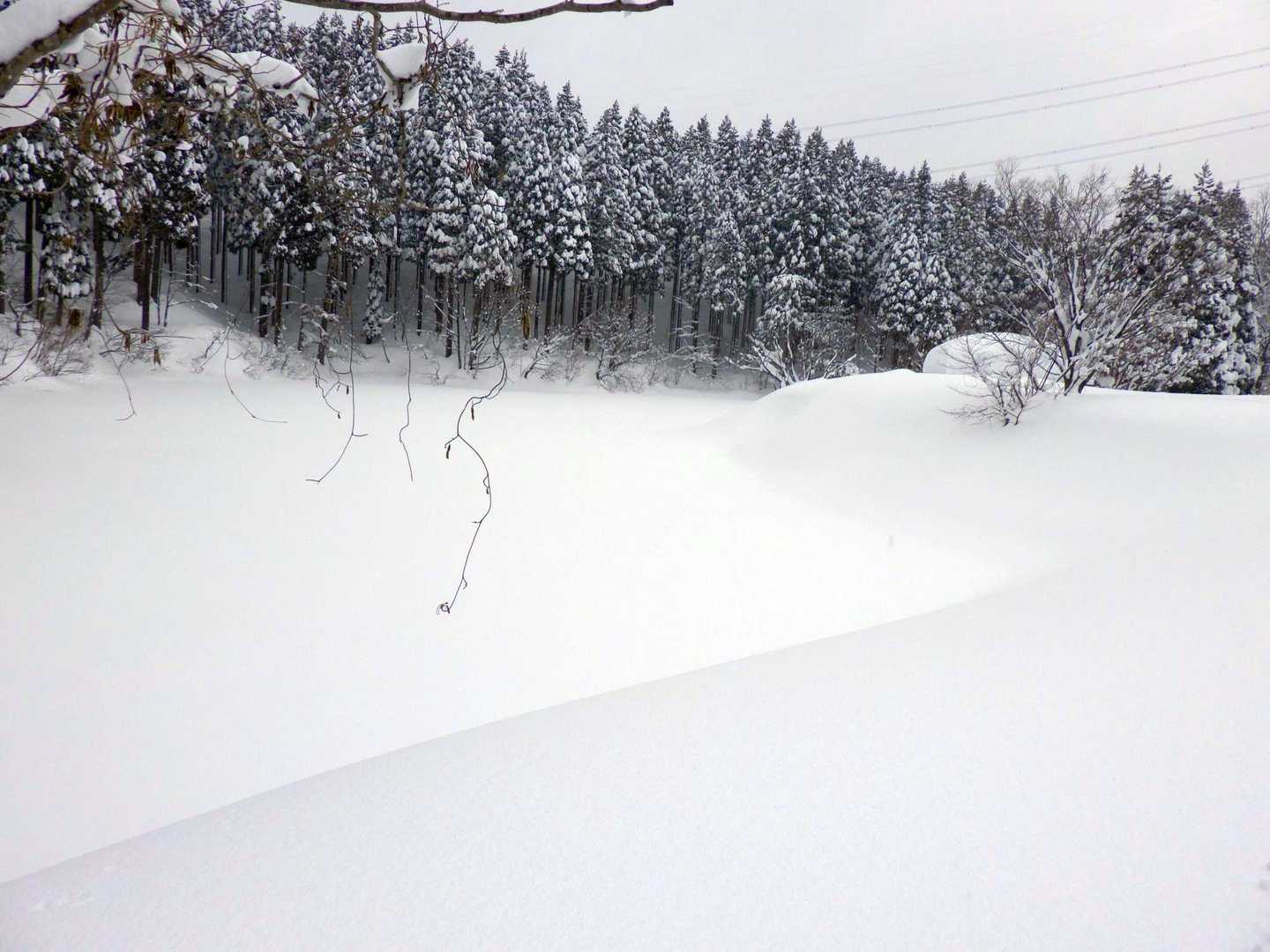 医王の里にあるスゲ池もすっぽりと雪の下