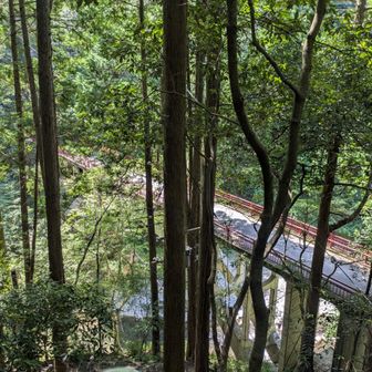 赤い欄干の橋が見えてきた