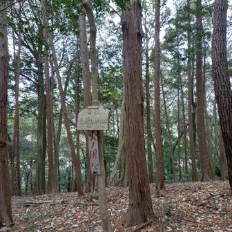 宇治市民の山、大吉山。ヤマップ的には6回目の登頂。