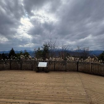 一丁平展望デッキ
東屋でお昼ご飯にしました

今日は富士山に会えず😭