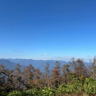 山頂からの眺め