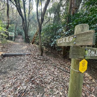 ここから嵩山へ！