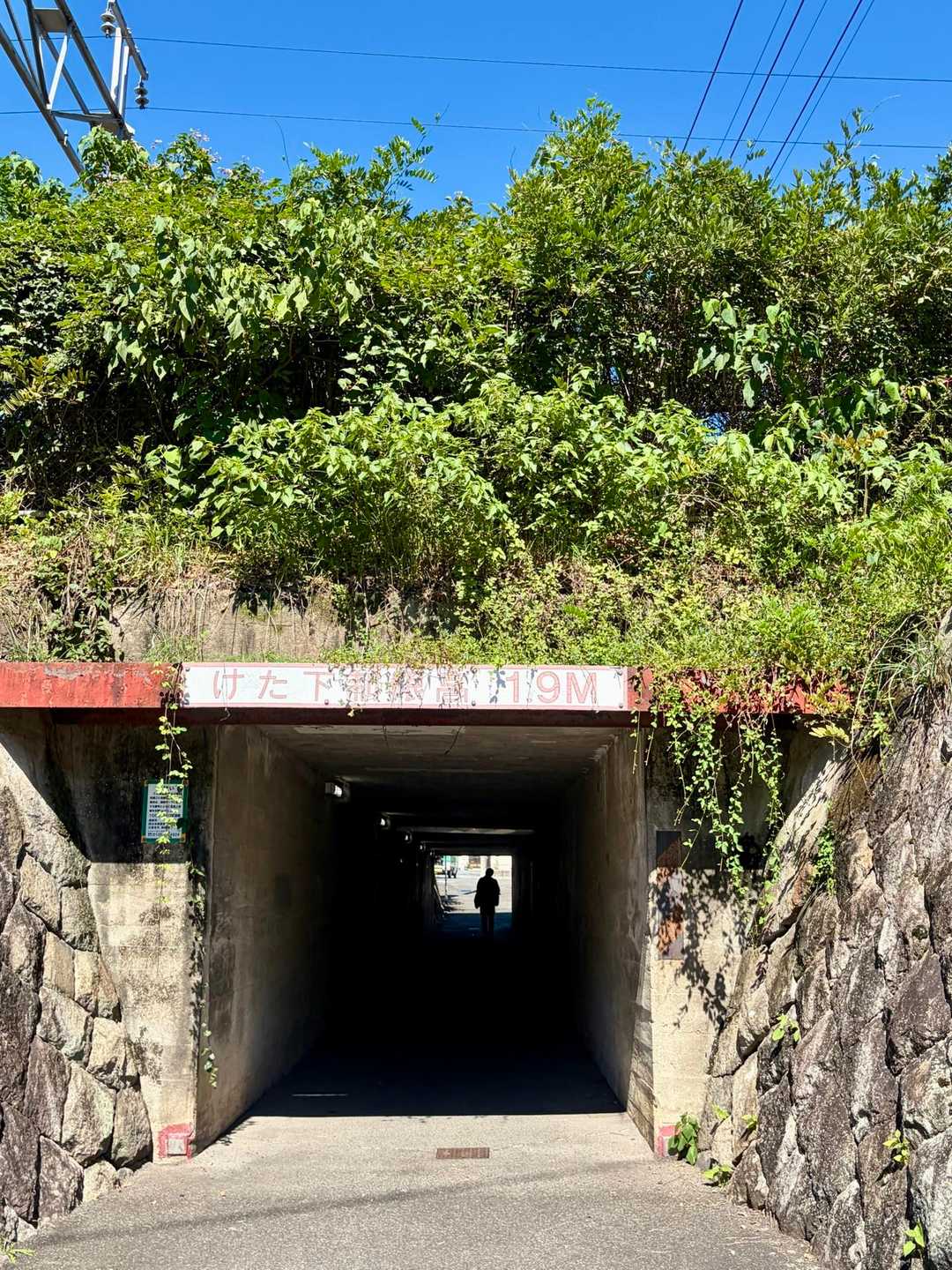 トンネルを潜ります。
もうすぐ、JR河内駅でゴール🏁