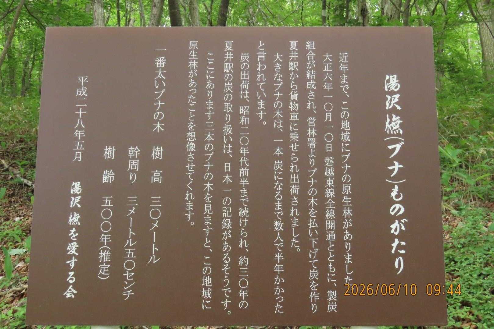 湯沢橅ものがたり。