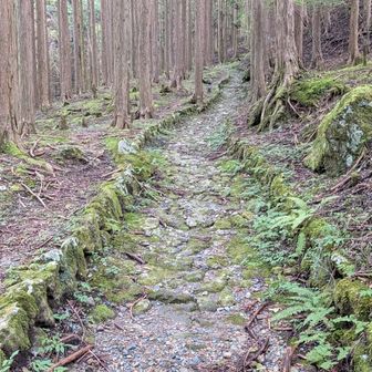 
　塩の道　石畳