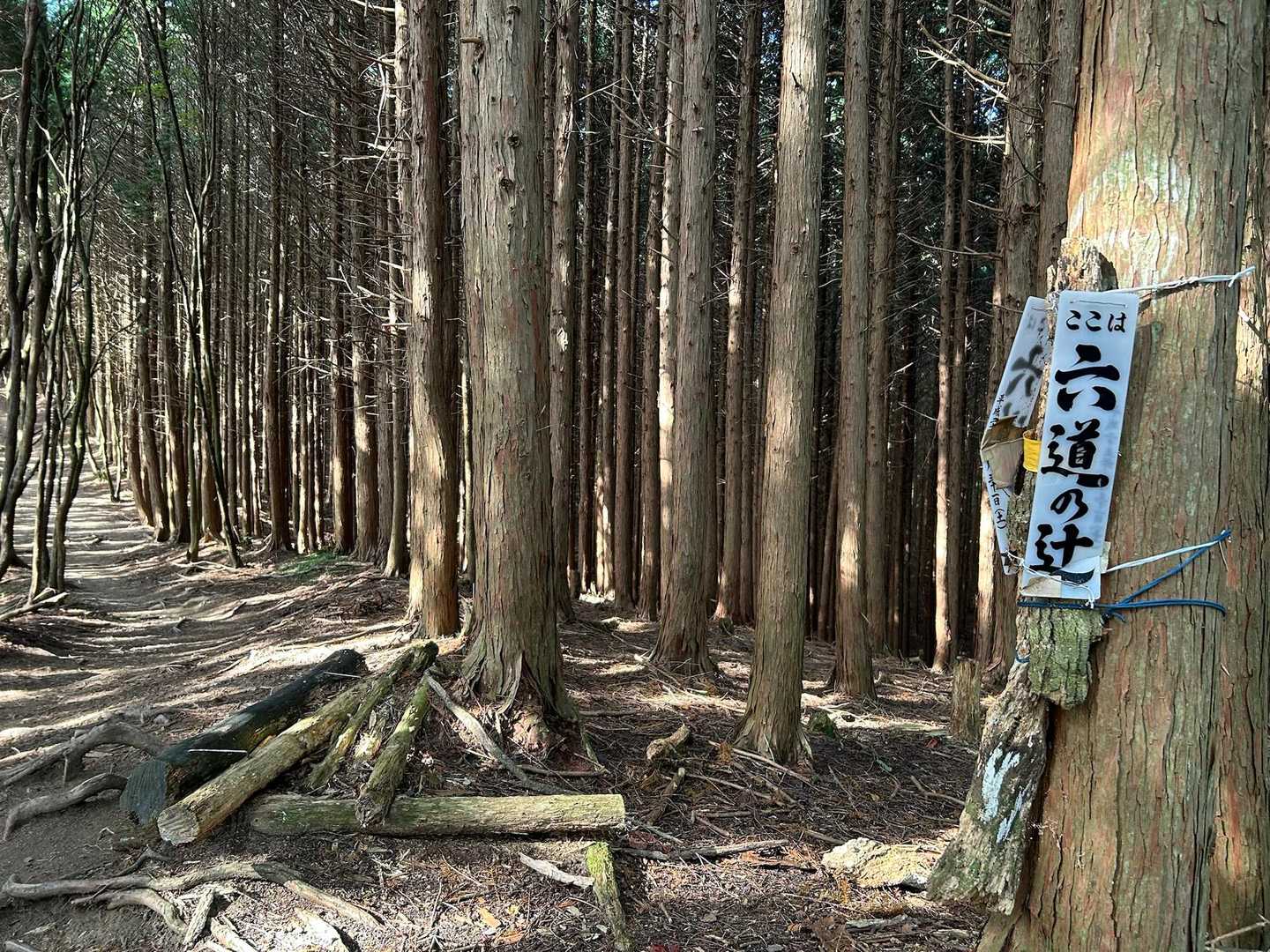 ここまで来るとホッとする😮‍💨