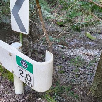 最後はどうしてもこの川を渡渉する必要がありました。しかし、上の道路に登る道が見当たらなかったため、とにかく登れそうなトコを無理矢理登ることになります、トホホ😫
ちなみにこの画像は渡渉後に道路側から撮りました。ゴアテックスのハイキングシューズが浸水してしまいましたよ。ですので、ここの周回ルートは反時計回りで、この渡渉を最後に持ってくる方が賢いですね。