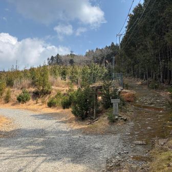 「馬の背平」まで戻ってきました。

ここから尾根道ルートで下山します。