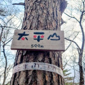 これより激下りして
鐘撞森（かねつきもり）へ🐒