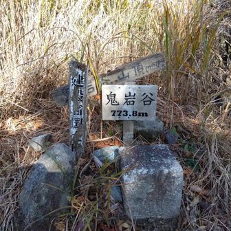 鬼岩谷　ここで道を間違えたけど、すぐに引き返して正規ルートへ