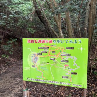 七滝は行きませぬ