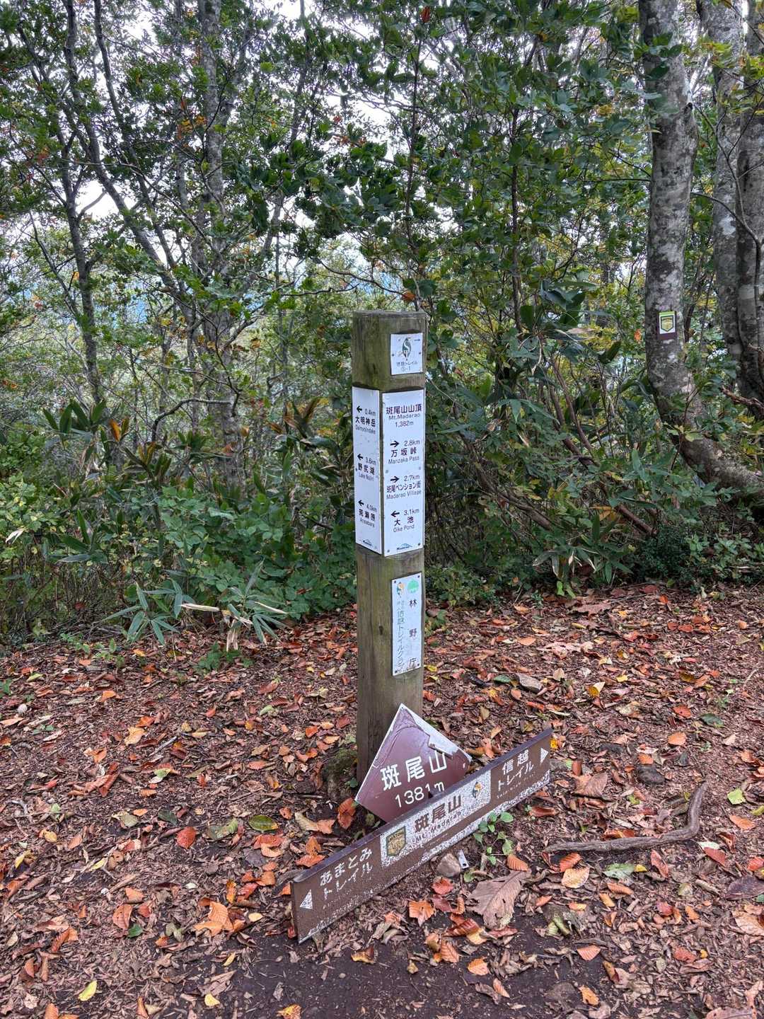 到着