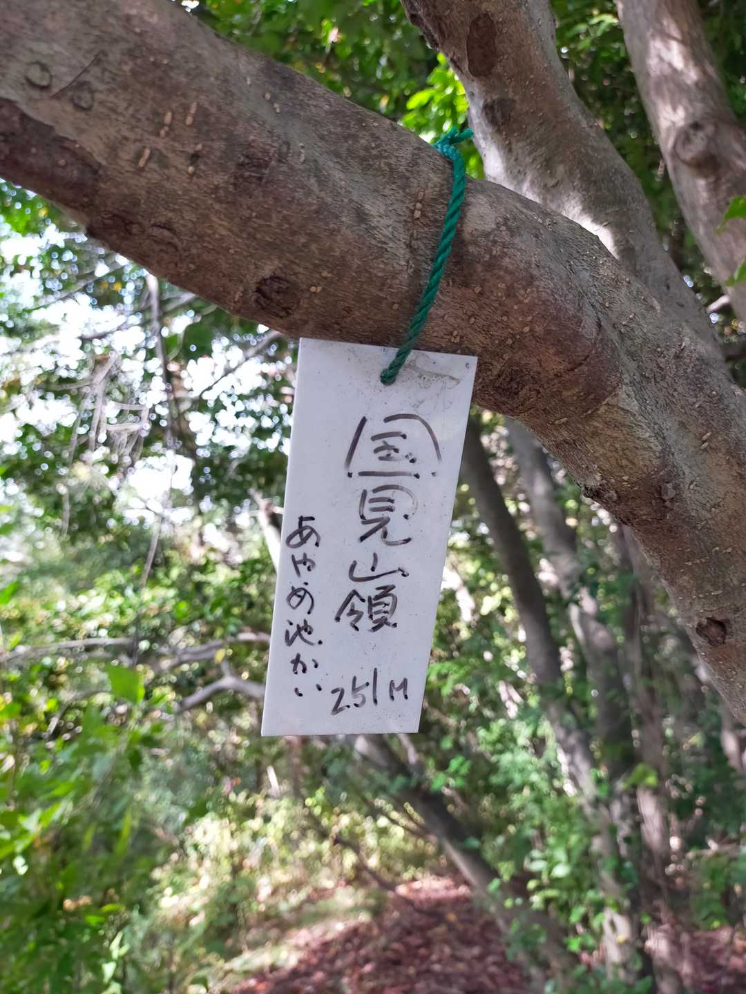 国見嶺の写真