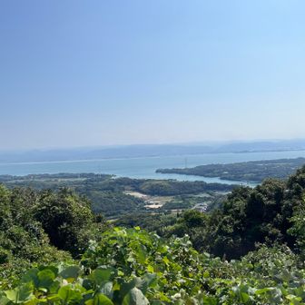 八代海方面