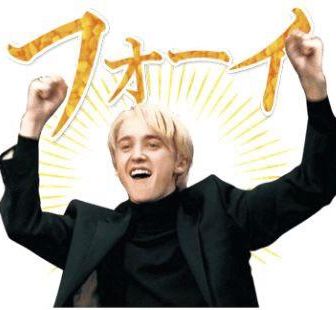 ﾏﾙﾌｫｫｫｫｫｫｫｫｲ