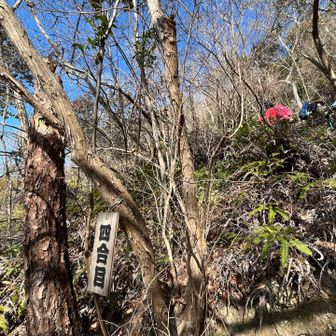 あっというまに
え、四合目って😅