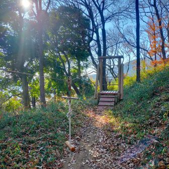 三ツ石森林公園まで戻ってきました。
子供たちに人気のヤツ(語彙不足)