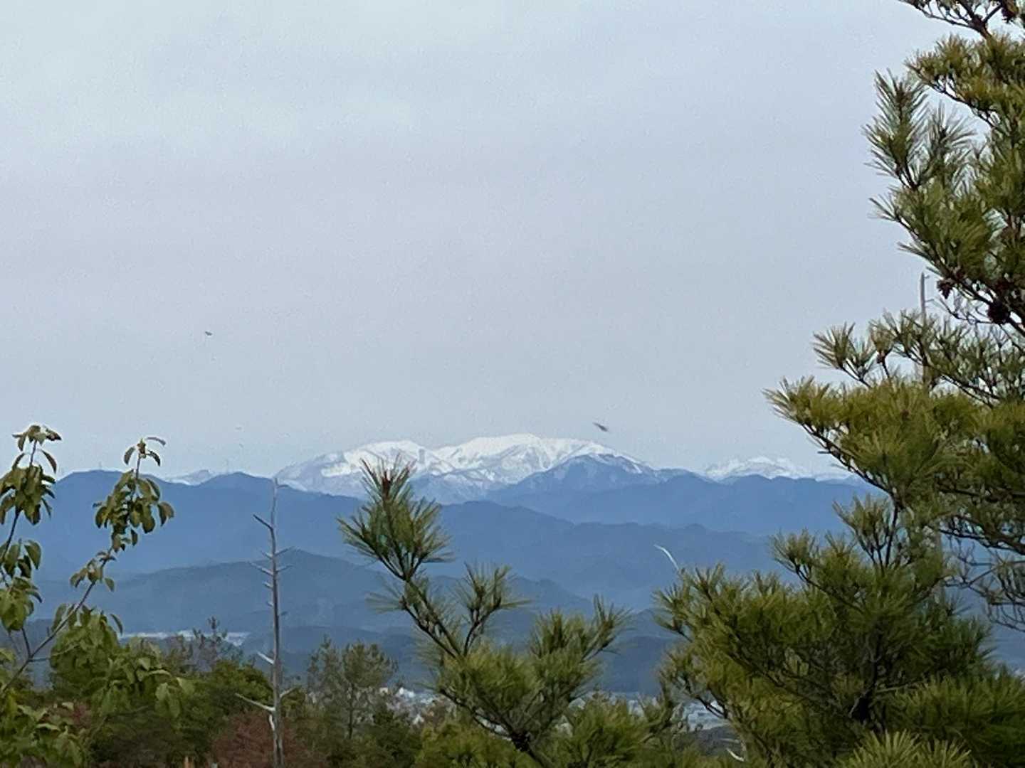 各務原アルプス縦走コース（各務原権現山-金山-明王山）の写真