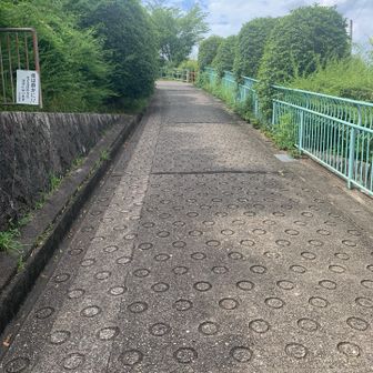 ここを登っていきます