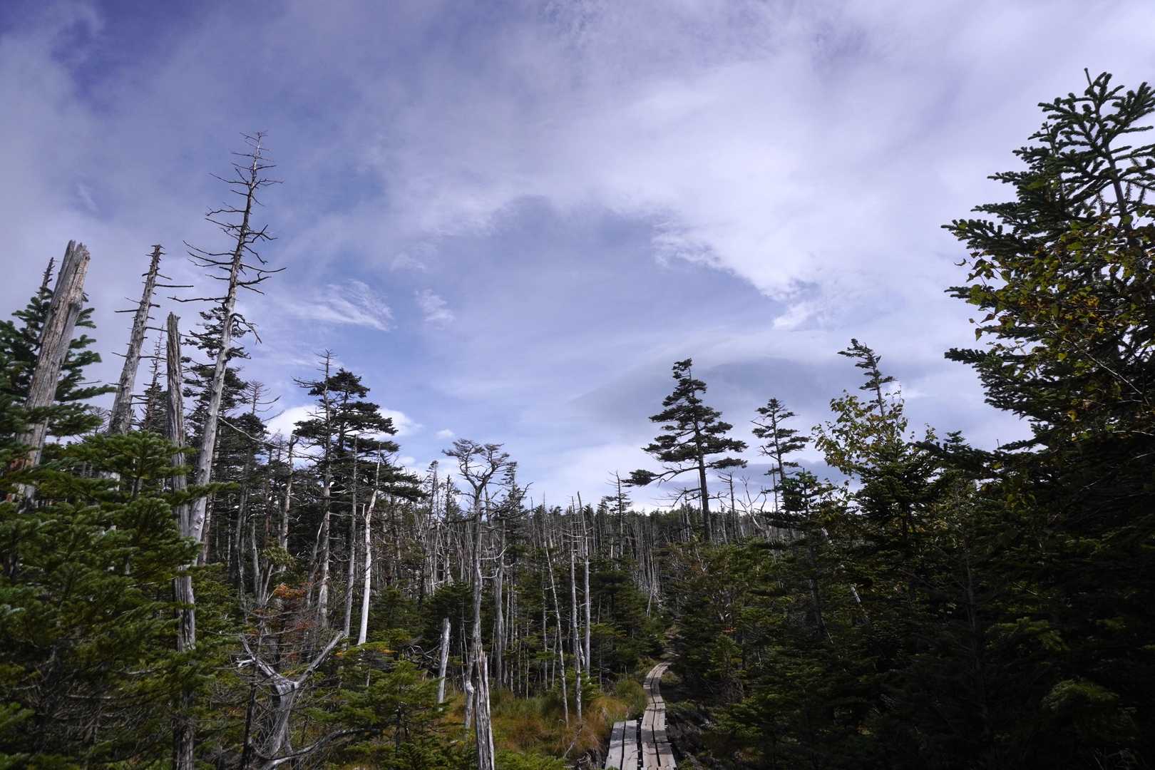 前掛山あたりで一瞬青空。でもこのあとすぐに雨降るんだよね