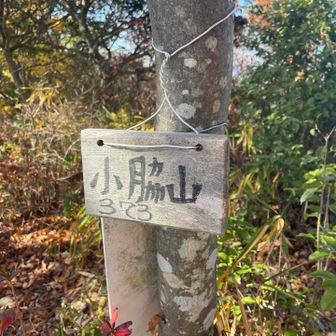 今日の3座目、到着‼️