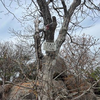 行者嶽△に到着
そばの東屋で一服した