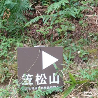 野々瀬下の本ルート登り口