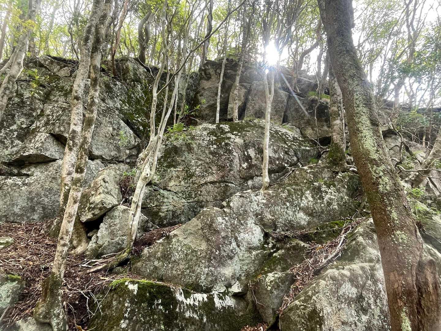 局ヶ岳神社-局ヶ岳 周回コースの写真
