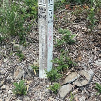 丸山は独立峰かな　また今度