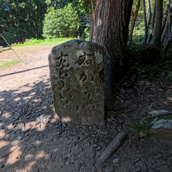 中辺路との合流
この時、この石碑のありがたみを感じたのは私だけでしょう
