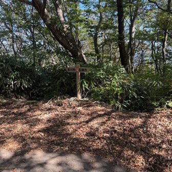 舗装路からまた山道に分岐するのですが、この入り口はちょっとわかりにくかったです。境界の標識の横、両方に入り口があります。どちらから入っても、入って左側に道があります。