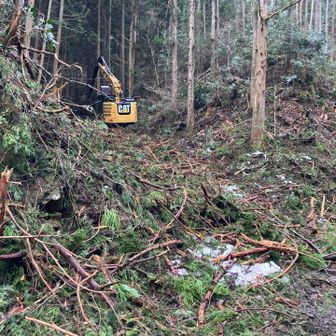 お邪魔してごめんなさい