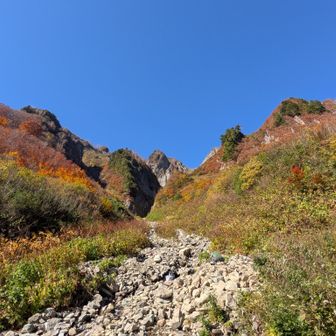 山頂から沢沿いまで降りてきた。見上げれば、ブルースクリーンのような作り物みたいな青空で実感がない。ポロッとどっか欠けないかな。