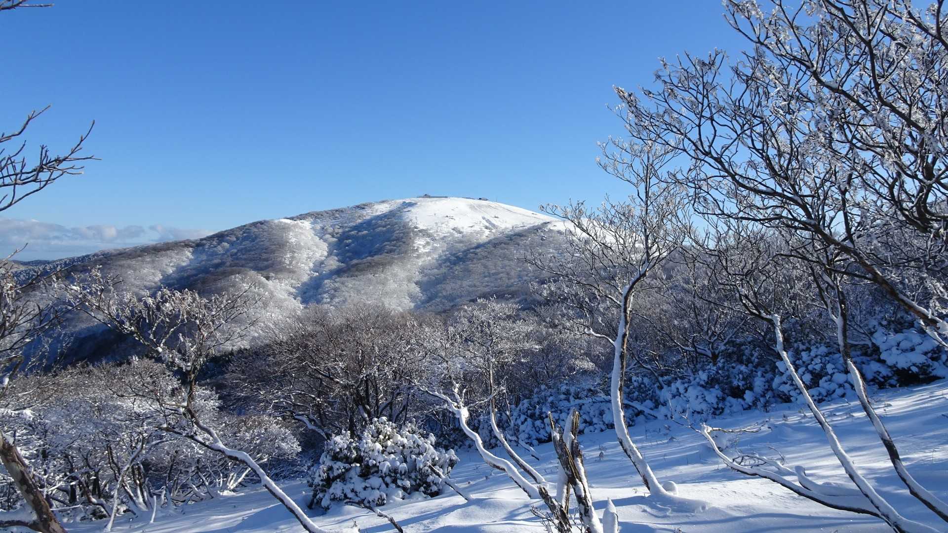 蓬莱山を眺めるなら、このルートが１番です