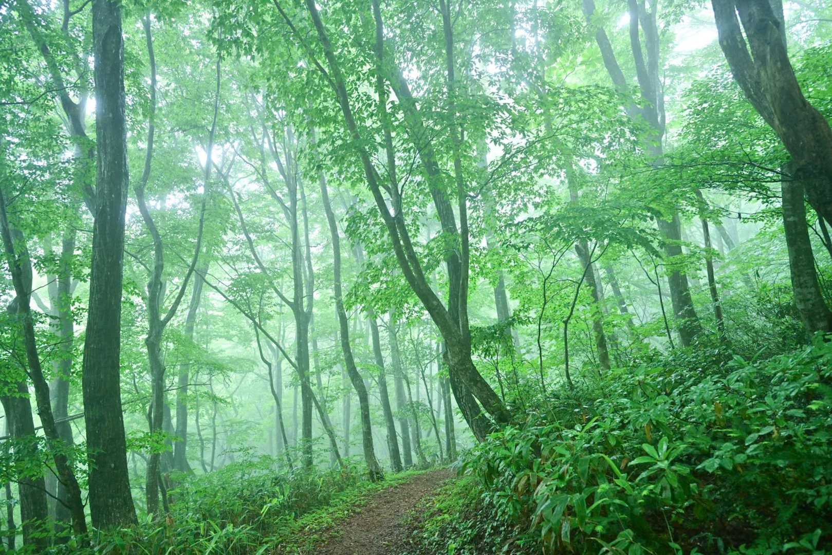 下山