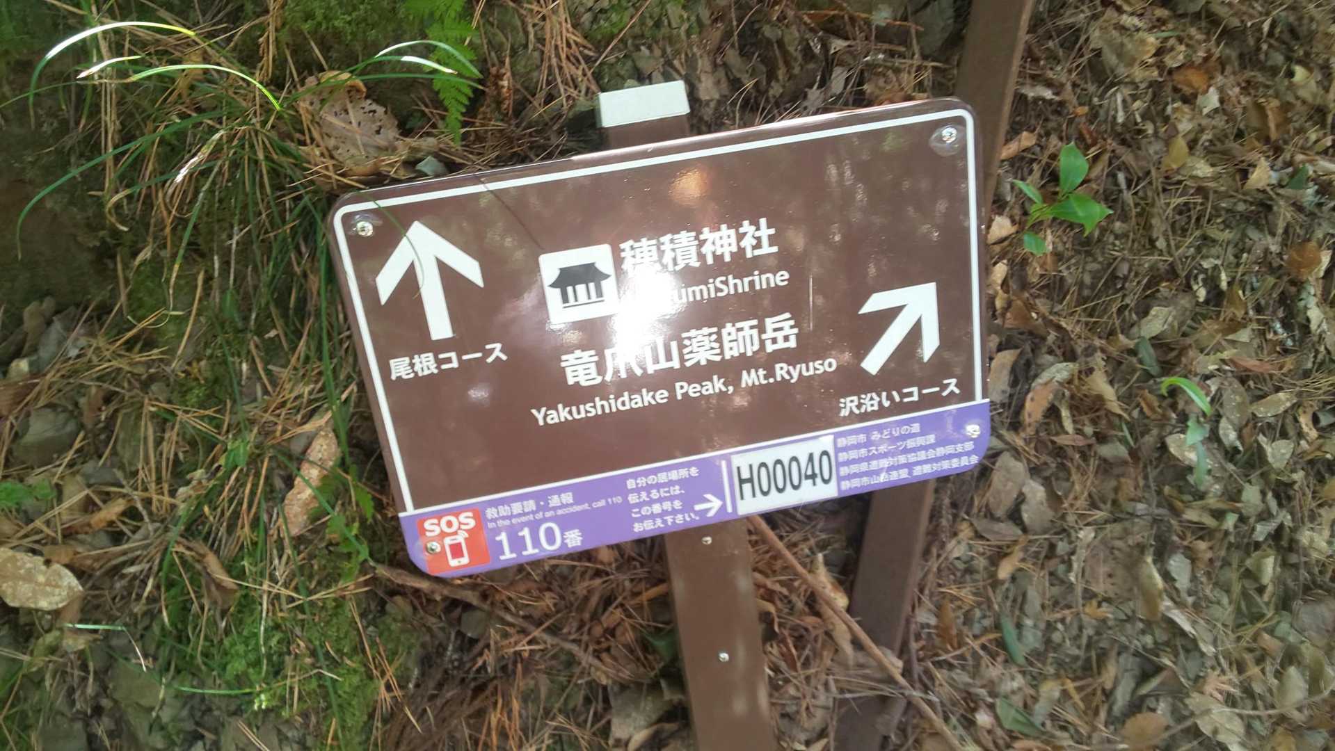 娘の選択で沢沿いコースに😌
ここまでで汗かくほどだったらしく涼しそうなほうがいいそうです笑