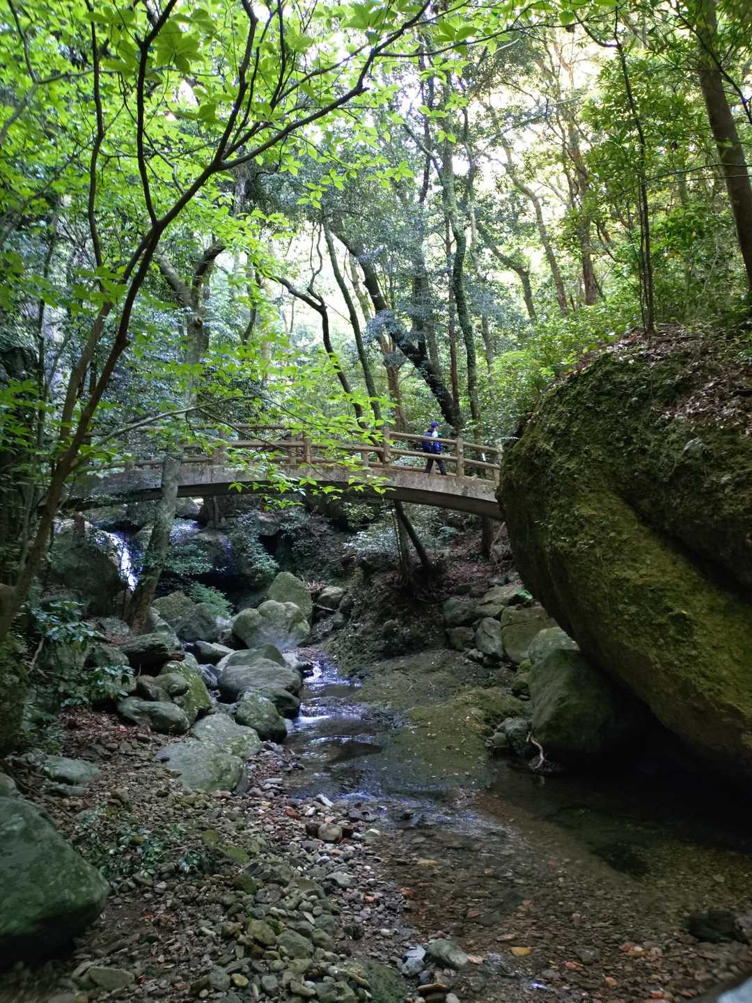 竜門ダム登山口-青牧峠-青螺山-見返り峠-黒髪山-後の平- 周回コースの写真