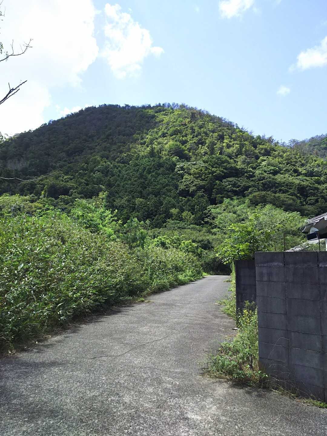 駟馳山の写真