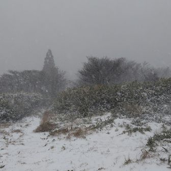 山頂から歩いてきた道を撮る。